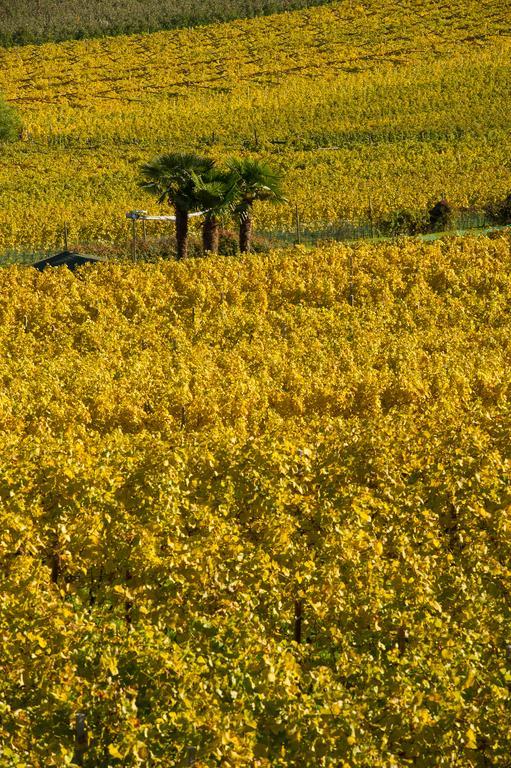 Weingut Wolkanhof Appiano Sulla Strada Del Vino Exterior foto