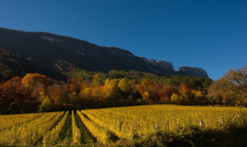 Weingut Wolkanhof Appiano Sulla Strada Del Vino Exterior foto