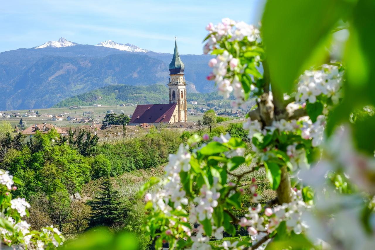 Weingut Wolkanhof Appiano Sulla Strada Del Vino Exterior foto